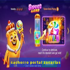 cachorro portal zacarias